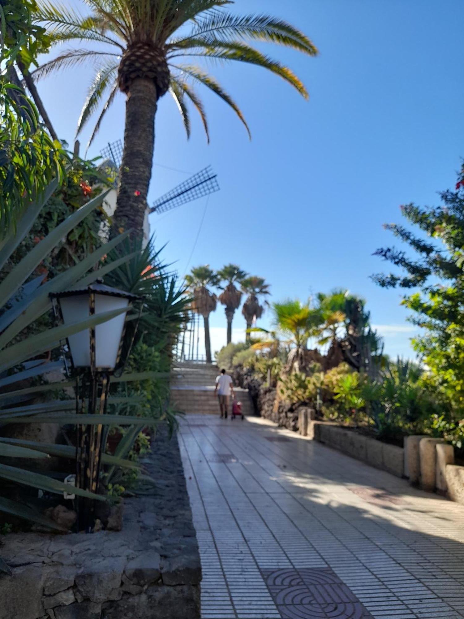 Apartments Island Village Heights Costa Adeje Dış mekan fotoğraf